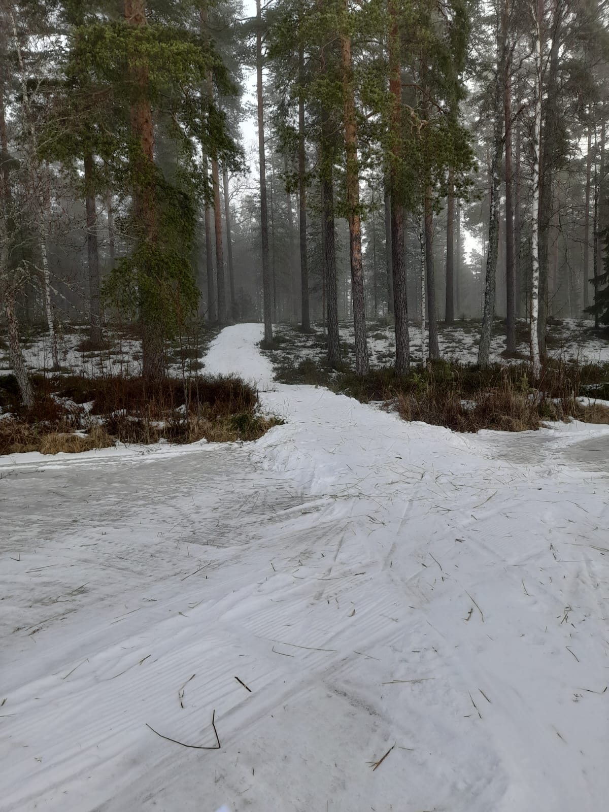 Evo2023 vaihtoa keskiviikolta1