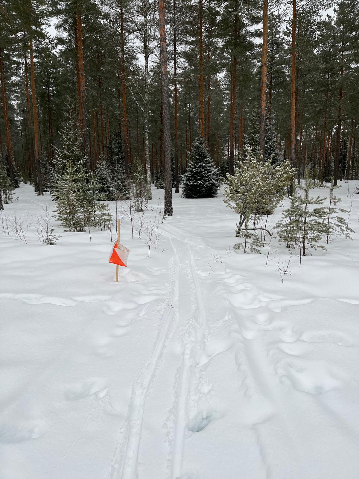 2025 01 22 Pekka1