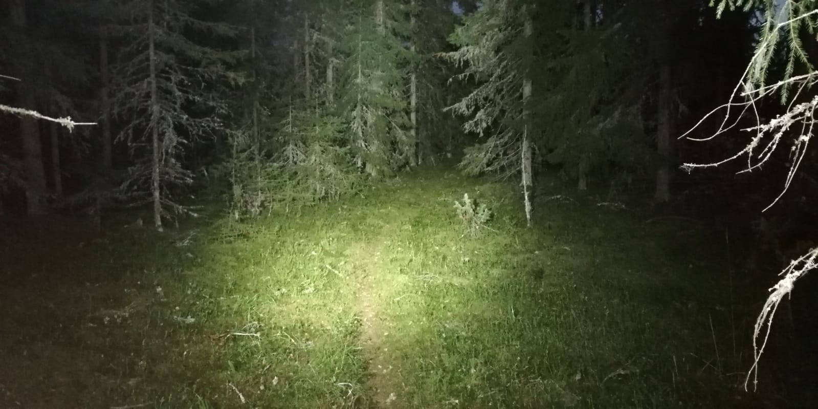 IMG 20180907 WA0026