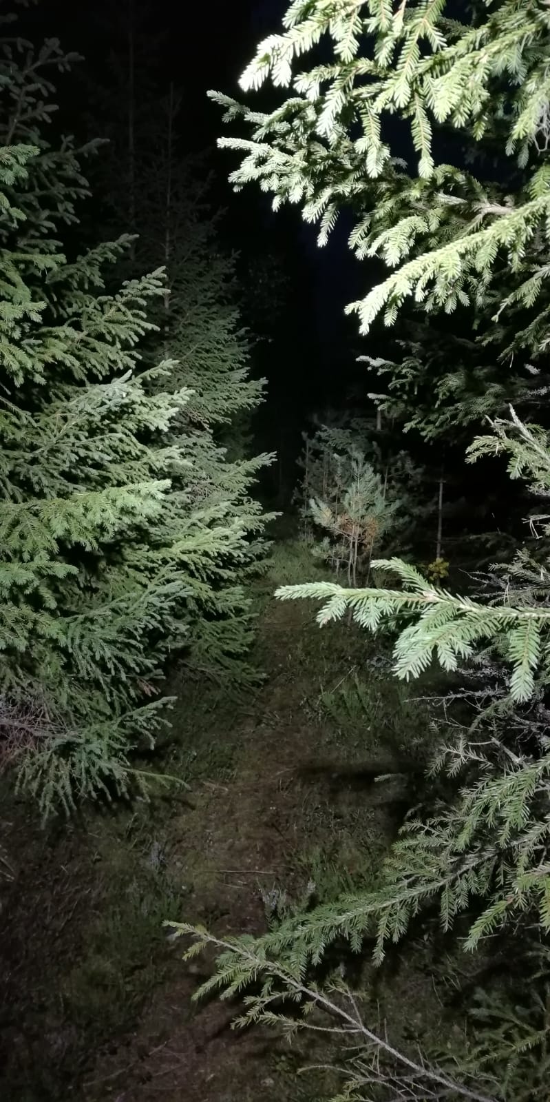 IMG 20180907 WA0027