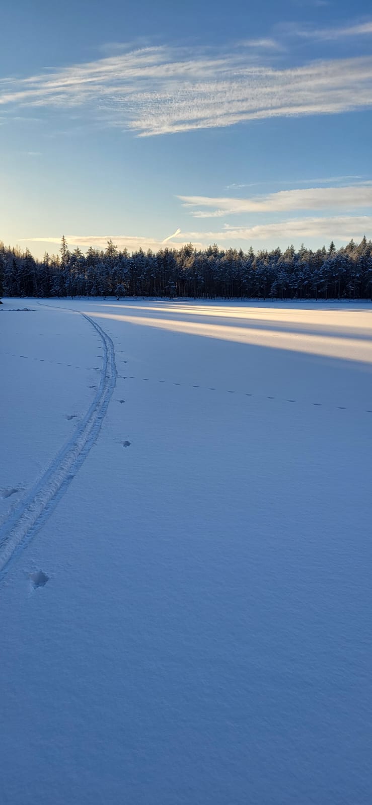 2025evo 2025 01 06 Järvi